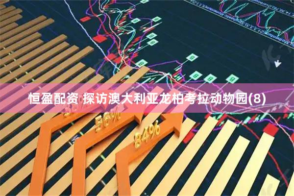 恒盈配资 探访澳大利亚龙柏考拉动物园(8)